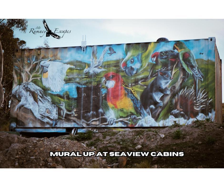Mount Rumney Escapes - 3 Seaview Wombat House Exteriör bild